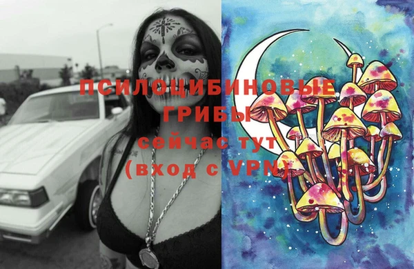 индика Каменск-Шахтинский