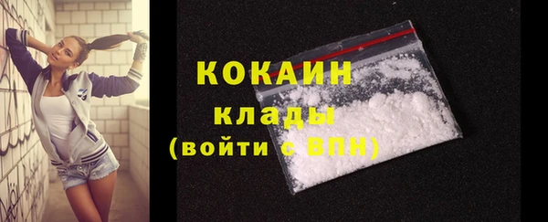 МДПВ Каменногорск