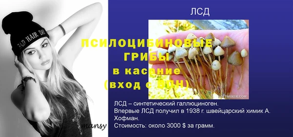 МДПВ Каменногорск