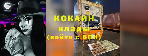 МДПВ Каменногорск