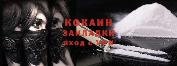 МДПВ Каменногорск