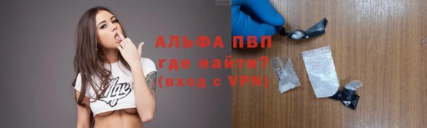 дмт Инта