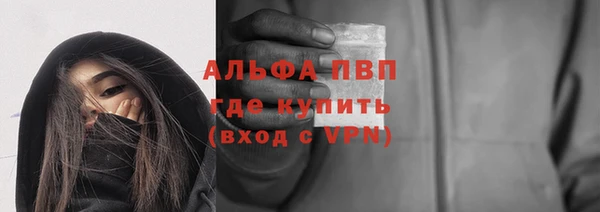 индика Каменск-Шахтинский