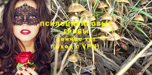 дмт Инта