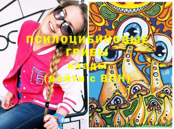 МДПВ Каменногорск