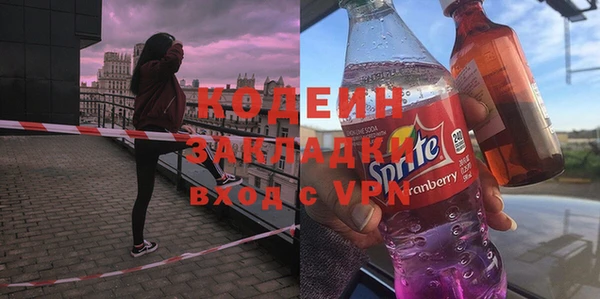 ГАЛЛЮЦИНОГЕННЫЕ ГРИБЫ Каменка