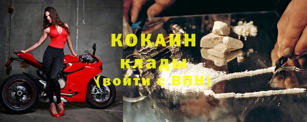 индика Каменск-Шахтинский