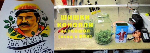дмт Инта