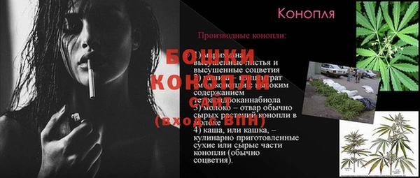 индика Каменск-Шахтинский