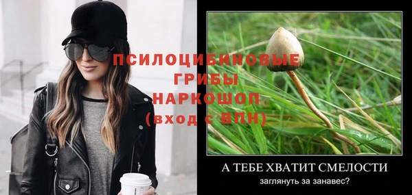 таблы Инсар
